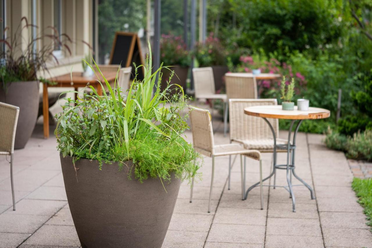 Vegan Health Hotel Sonnenberg Glutenfrei Schwellbrunn 외부 사진