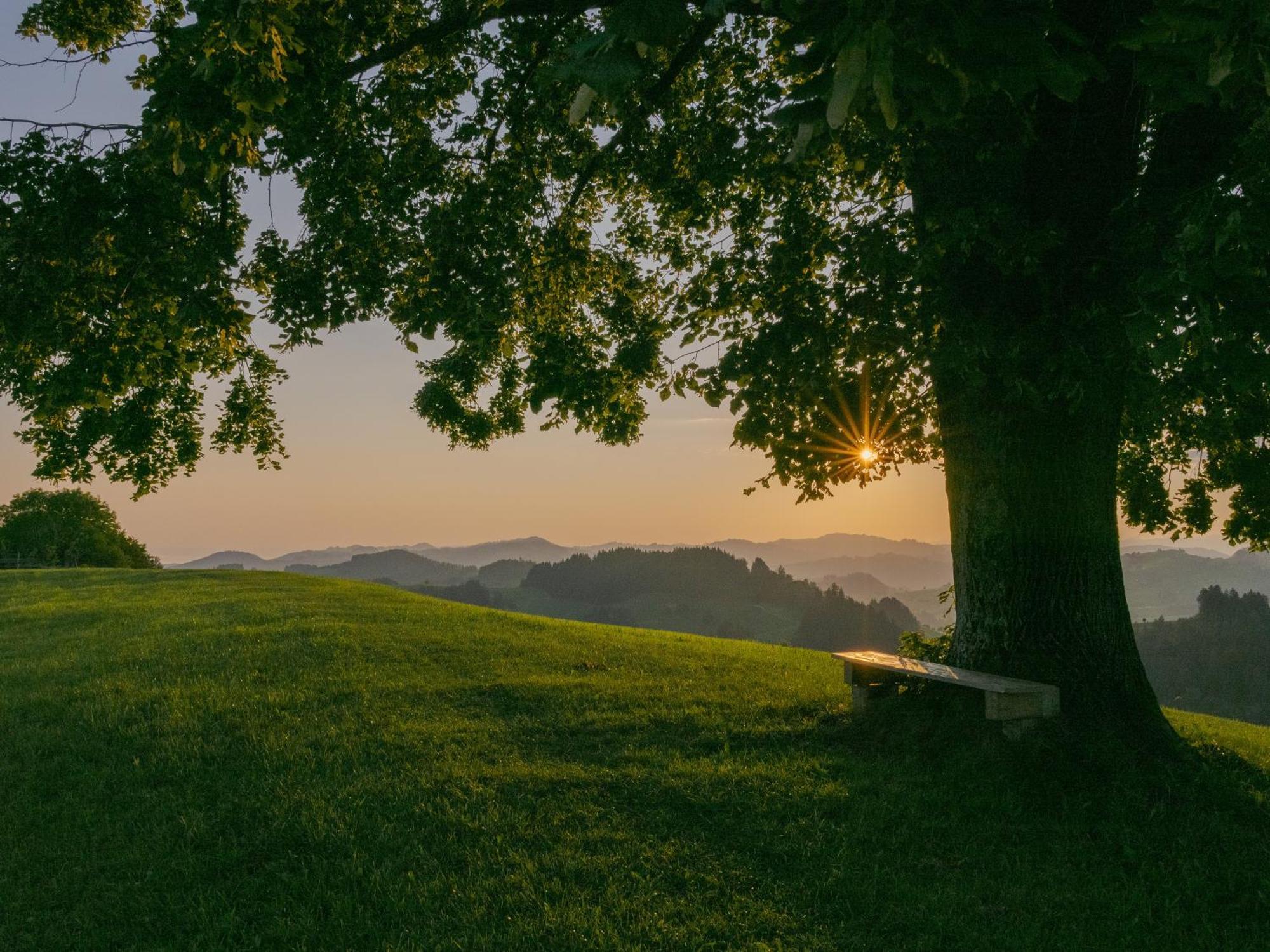Vegan Health Hotel Sonnenberg Glutenfrei Schwellbrunn 외부 사진